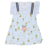 Newborn Girls Frock - Blue, Kids, New Born Girls Frocks, Chase Value, Chase Value