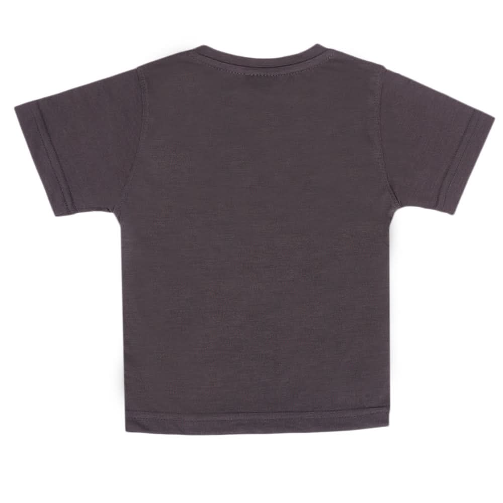 Boys Half Sleeves T-Shirt - Grey, Boys T-Shirts, Chase Value, Chase Value