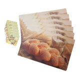 Table Mat 12Pc - Multi, Home & Lifestyle, Mats, Chase Value, Chase Value