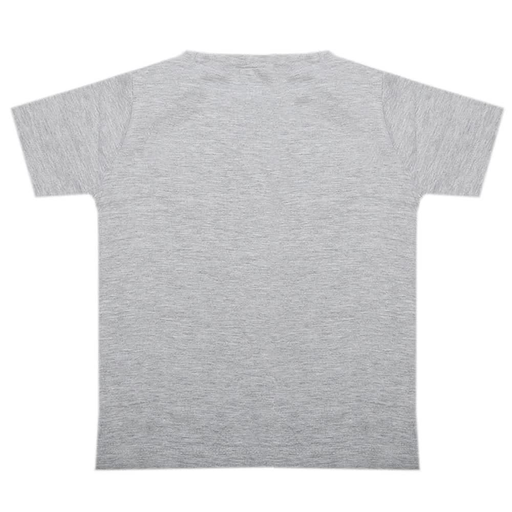 Boys Half Sleeves T-Shirt - Light Grey, Boys T-Shirts, Chase Value, Chase Value