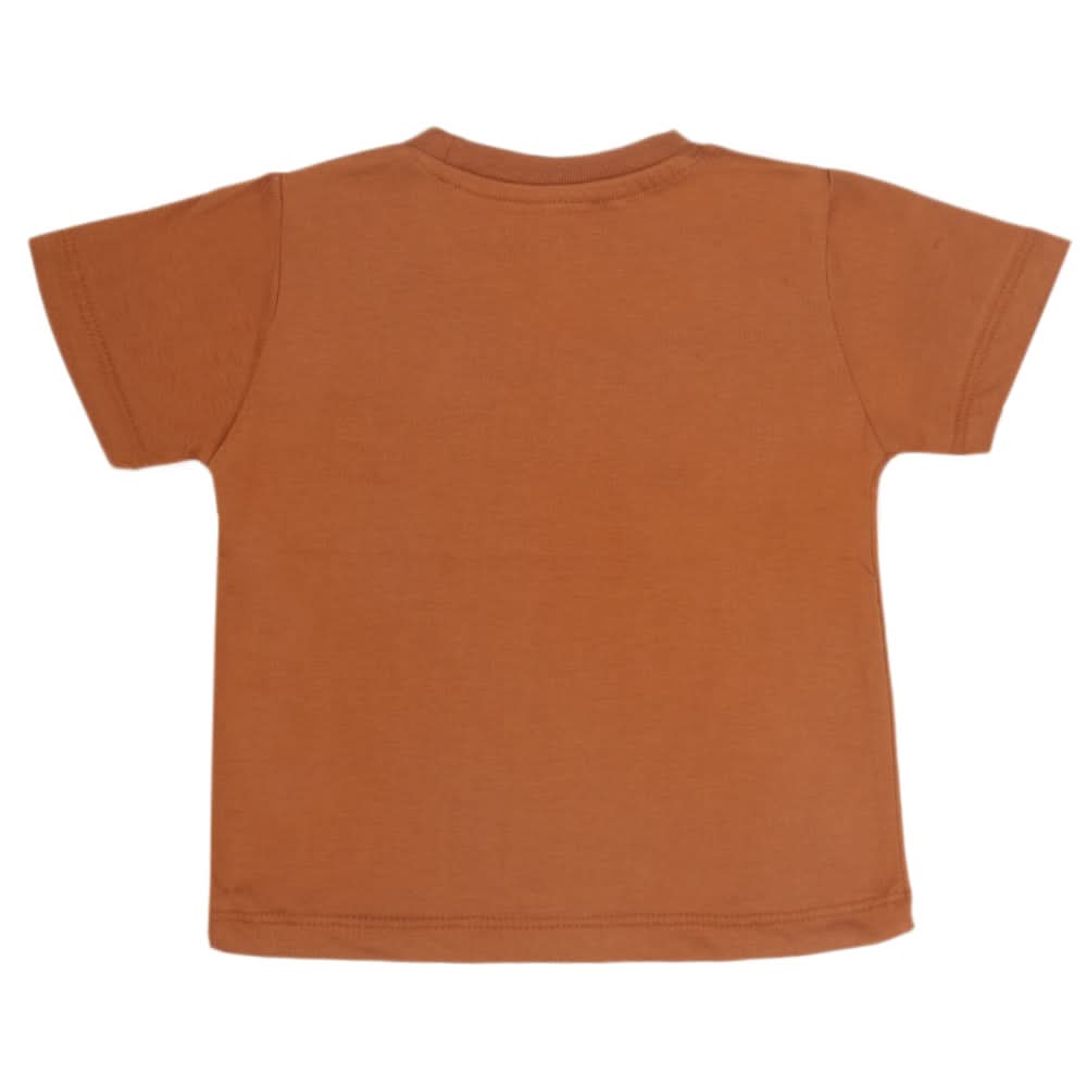 Boys Half Sleeves T-Shirt - Brown, Kids, Boys T-Shirts, Chase Value, Chase Value