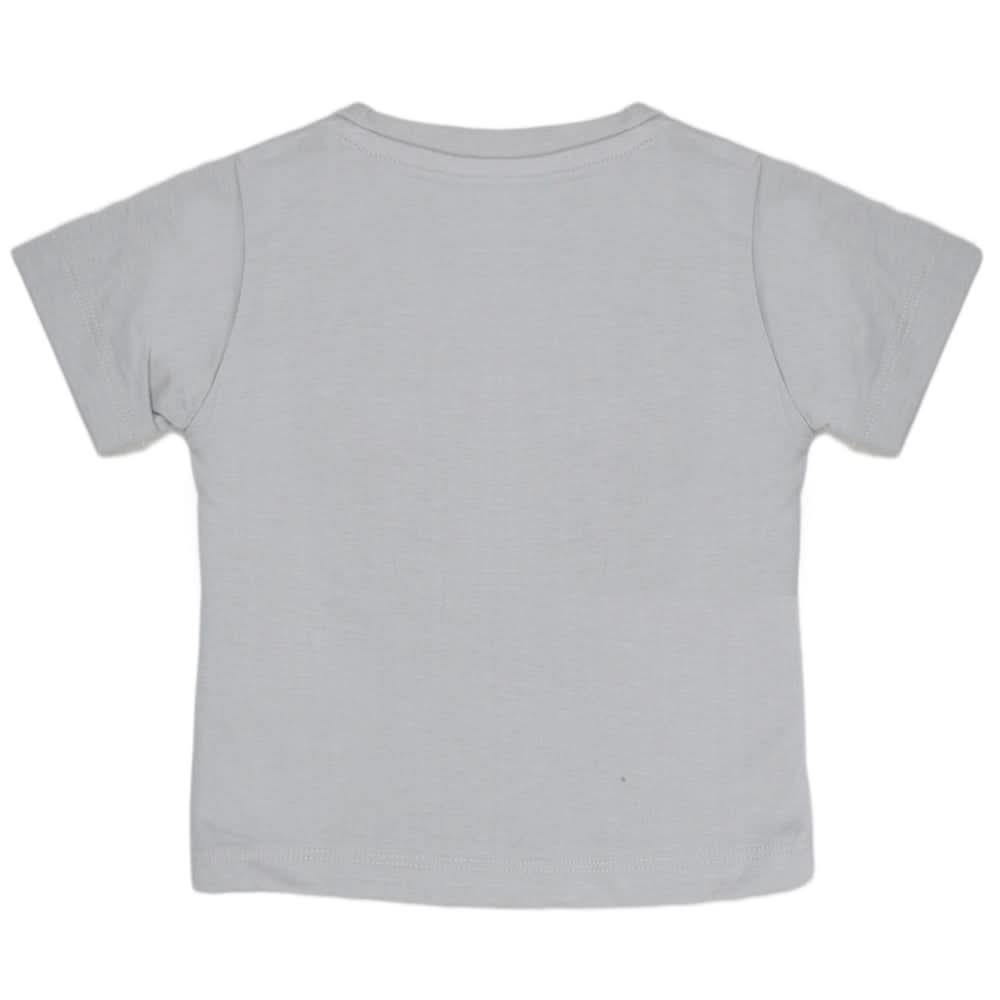 Boys Half Sleeves Printed T-Shirt - Grey, Kids, Boys T-Shirts, Chase Value, Chase Value