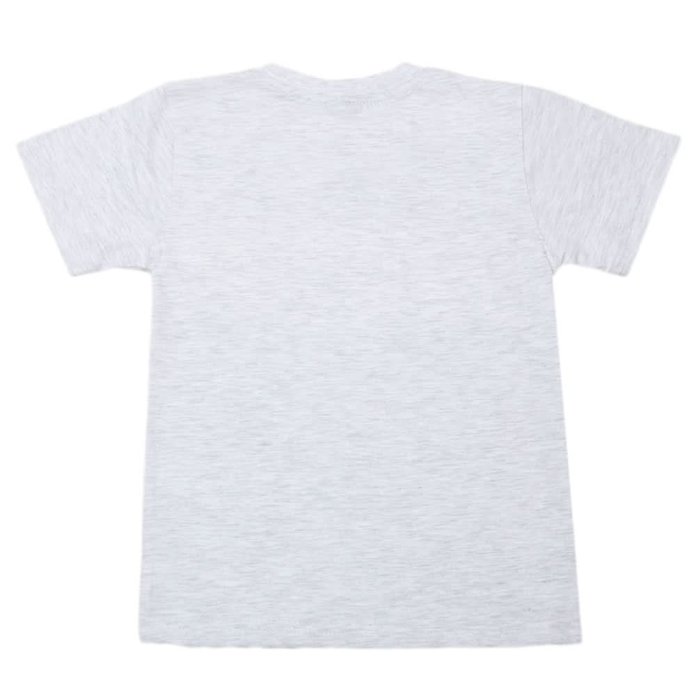 Boys Half Sleeves T-Shirt - Light Grey, Kids, Boys T-Shirts, Chase Value, Chase Value