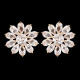 Women's Ear Tops - Golden, Women, Earrings & Tops, Chase Value, Chase Value