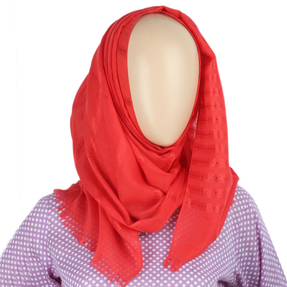 Women's Scarves - 10 Colors, Women, Shawls And Scarves, Chase Value, Chase Value