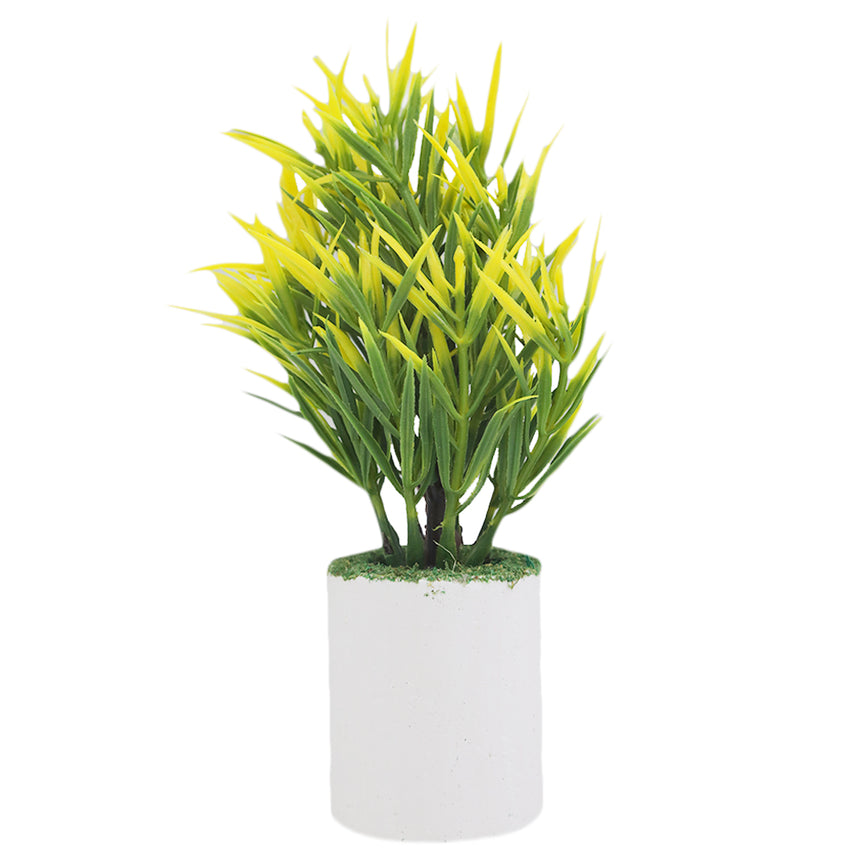 Bonsai Flower Pot Mini - L, Home & Lifestyle, Decoration, Chase Value, Chase Value