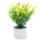 Bonsai Flower Pot Mini - M, Home & Lifestyle, Decoration, Chase Value, Chase Value