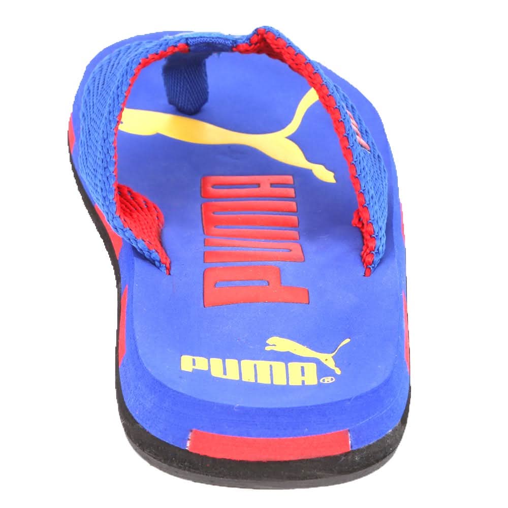 Men's Slippers (N-21) - Royal Blue, Men, Slippers, Chase Value, Chase Value