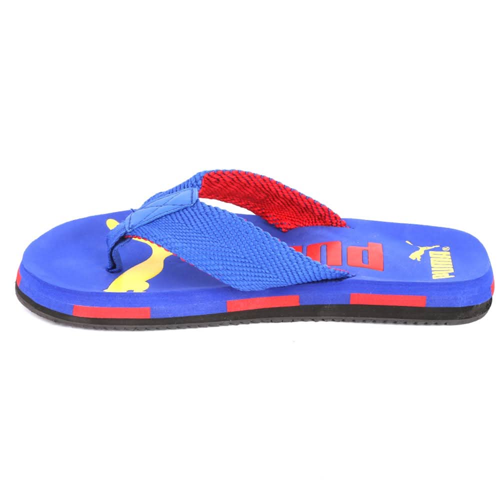 Men's Slippers (N-21) - Royal Blue, Men, Slippers, Chase Value, Chase Value
