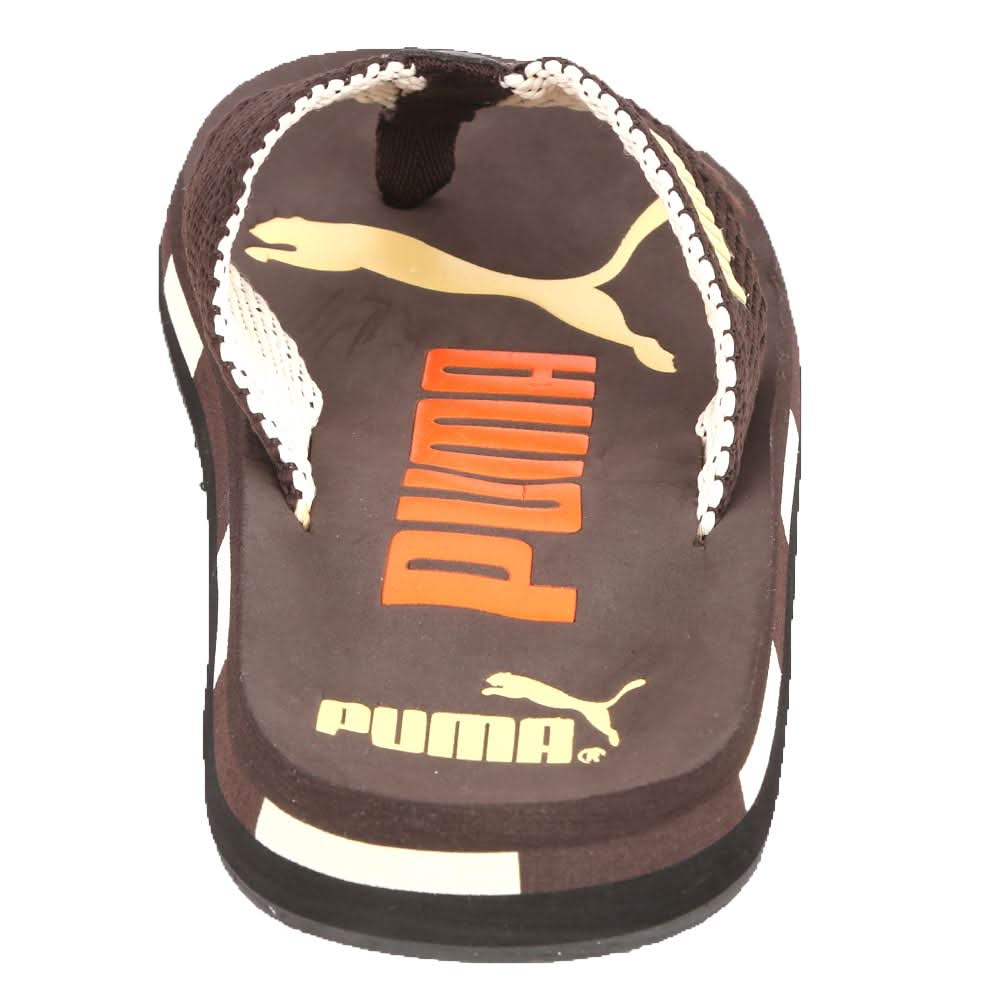 Men's Slippers (N-21) - Brown, Men, Slippers, Chase Value, Chase Value