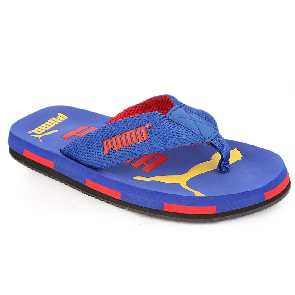 Men's Slippers (N-21) - Royal Blue, Men, Slippers, Chase Value, Chase Value