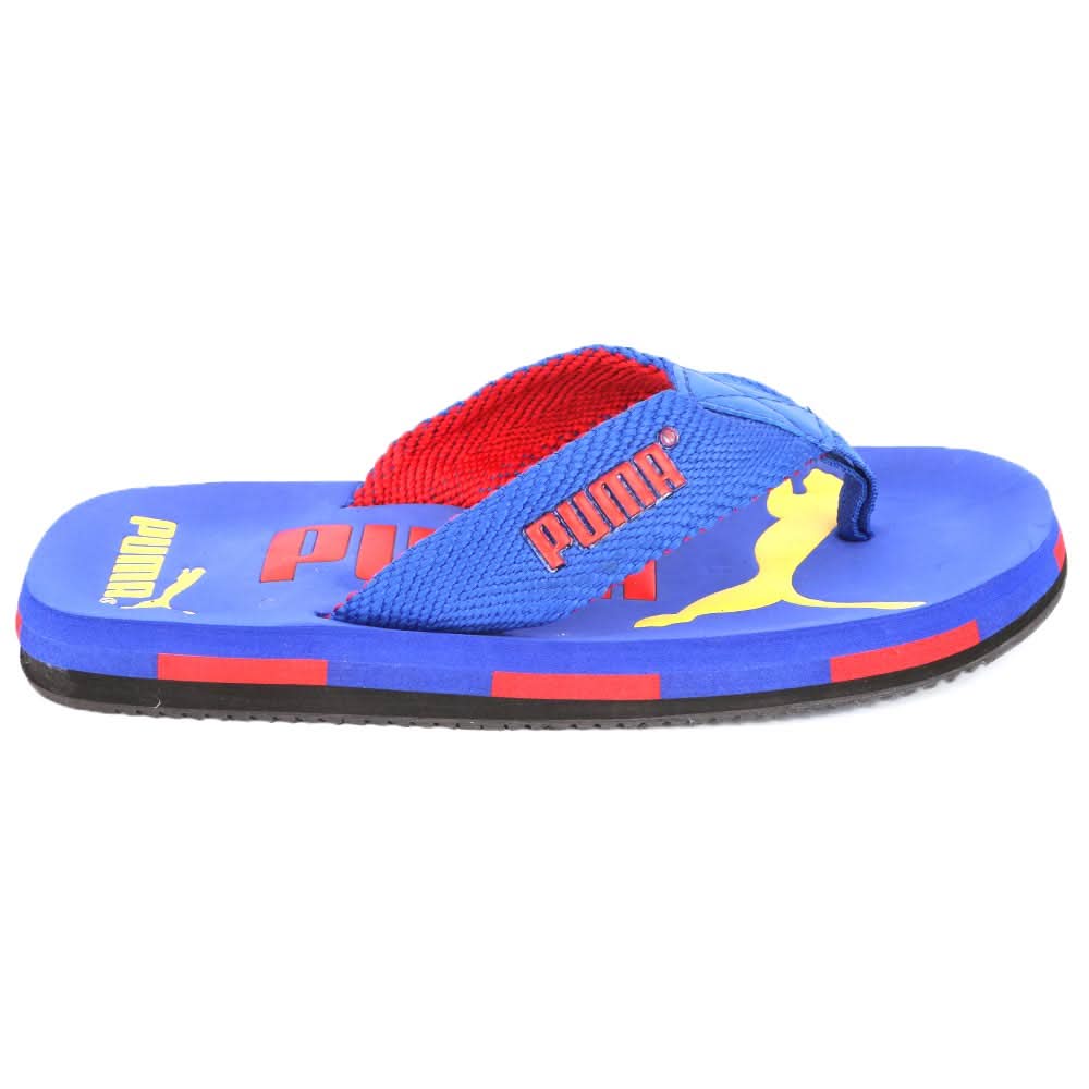 Men's Slippers (N-21) - Royal Blue, Men, Slippers, Chase Value, Chase Value