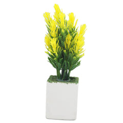 Bonsai Flower Pot Mini - P, Home & Lifestyle, Decoration, Chase Value, Chase Value
