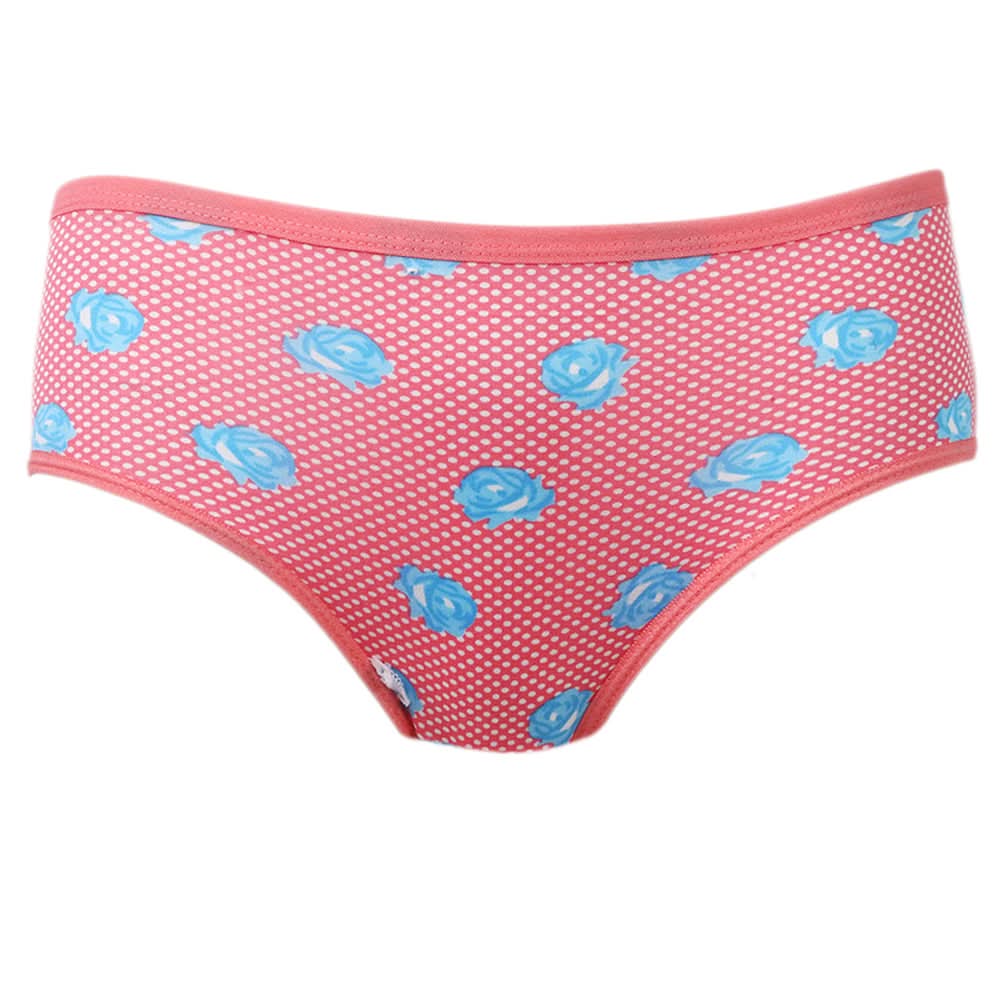 Women Panty Mix - Pink-E, Women, Panties, Chase Value, Chase Value