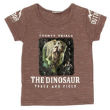 Boys Half Sleeves T-Shirt - Brown, Kids, Boys T-Shirts, Chase Value, Chase Value