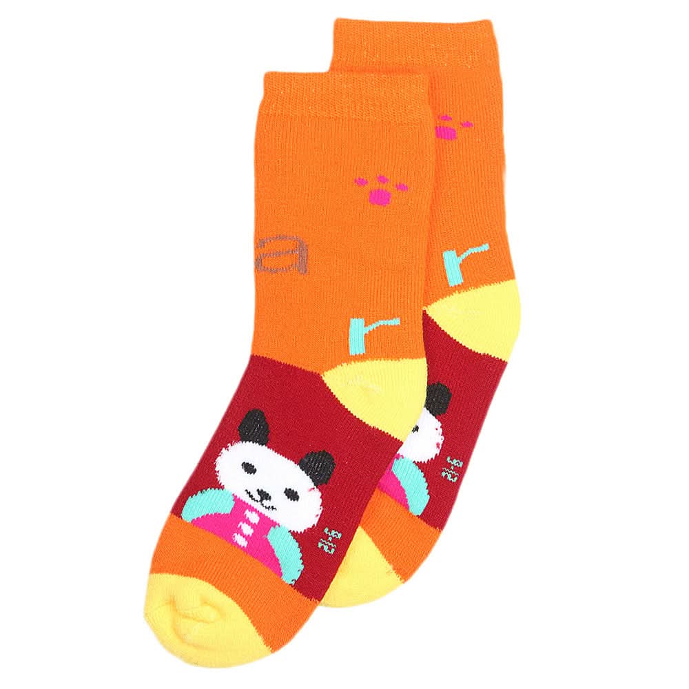 Kids Socks - Multi, Kids, Boys Socks, Chase Value, Chase Value